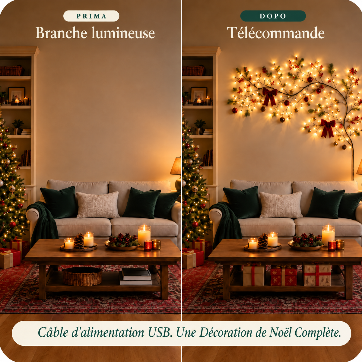 Ce qu'il y a dans la boite - branche lumineuse, telecommande, cable USB