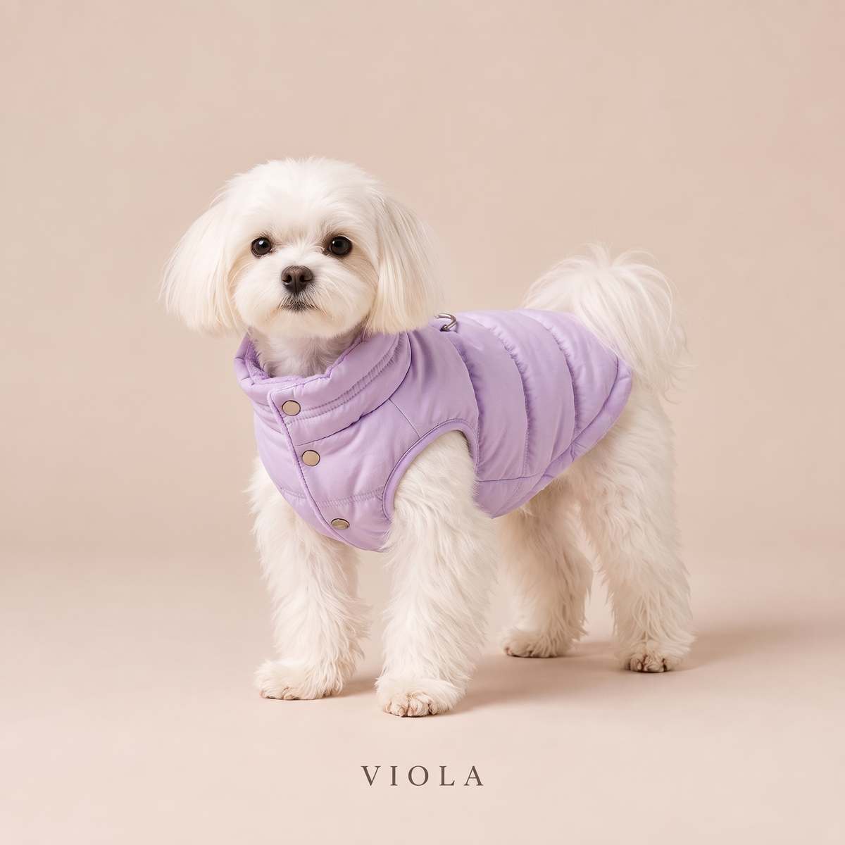 Gilet Imbottito per Cani, Caldo e Senza Maniche