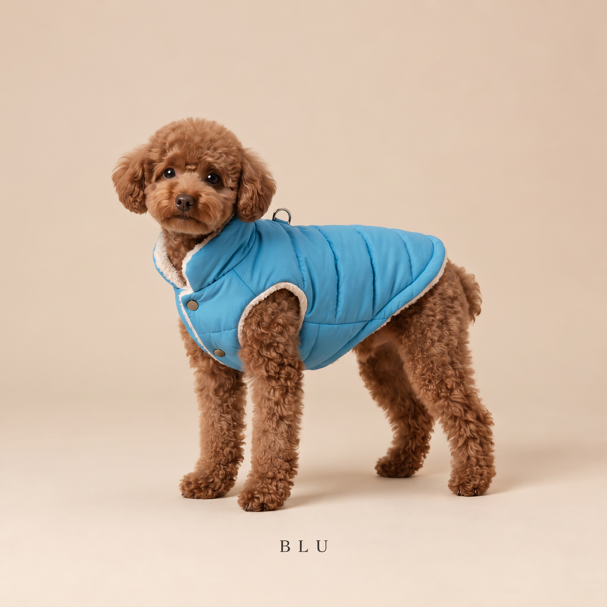 Gilet Imbottito per Cani, Caldo e Senza Maniche